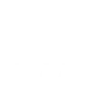 USAA Logo
